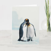 Twee affectionerende pinguïns kaart (Voorkant)