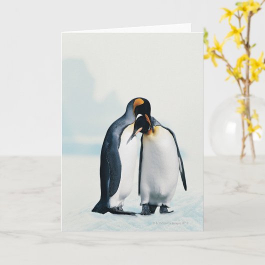 Twee affectionerende pinguïns kaart (Gele Bloem)