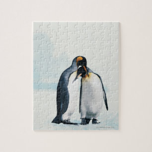 Twee affectionerende pinguïns legpuzzel