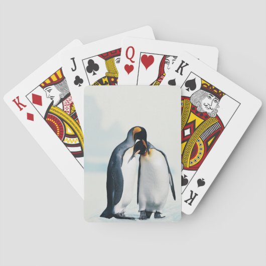 Twee affectionerende pinguïns pokerkaarten (Achterkant)