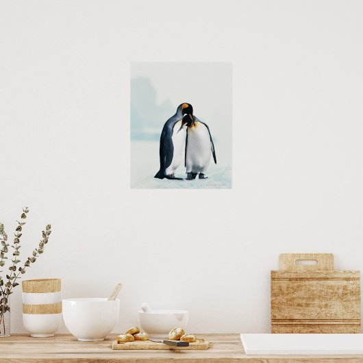 Twee affectionerende pinguïns poster (Keuken)