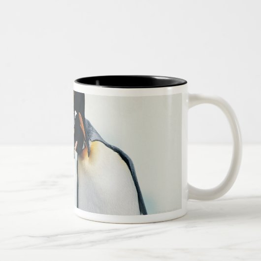 Twee affectionerende pinguïns tweekleurige koffiemok (Rechts)