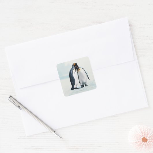 Twee affectionerende pinguïns vierkante sticker (Envelop)