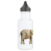 Twee Afrikaanse olifanten geïsoleerd Waterfles (Links)