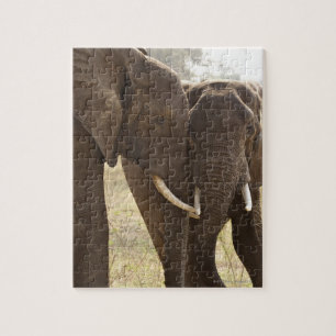 Twee Afrikaanse Struik Olephants (Loxodonta Afrian Legpuzzel