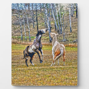 Twee afspeelbare pinto-verf-paarden ontwerpen voor fotoplaat