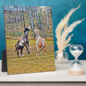 Twee afspeelbare pinto-verf-paarden ontwerpen voor fotoplaat (Zijkant)