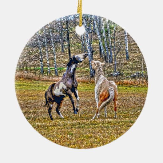 Twee afspeelbare pinto-verf-paarden ontwerpen voor keramisch ornament (Achterkant)