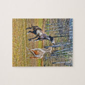 Twee afspeelbare pinto-verf-paarden ontwerpen voor legpuzzel (Horizontaal)