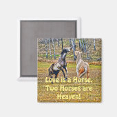 Twee afspeelbare pinto-verf-paarden ontwerpen voor magneet (Voorkant / Achterkant)