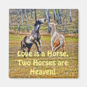 Twee afspeelbare pinto-verf-paarden ontwerpen voor magneet