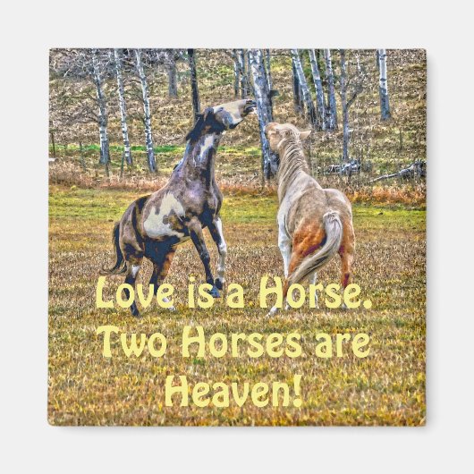 Twee afspeelbare pinto-verf-paarden ontwerpen voor magneet (Voorkant)