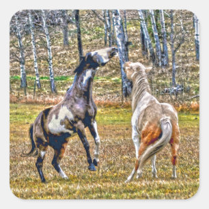 Twee afspeelbare pinto-verf-paarden ontwerpen voor vierkante sticker