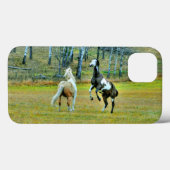 Twee afspeelbare pinto-verf-paarden paardenkunst D Case-Mate iPhone Case (Achterkant (horizontaal))