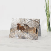 Twee allianties in het Wenskaart van Snow - Wilde  Kaart (Voorkant)