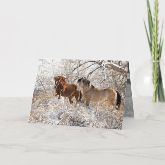 Twee allianties in het Wenskaart van Snow - Wilde  Kaart (Voorkant)