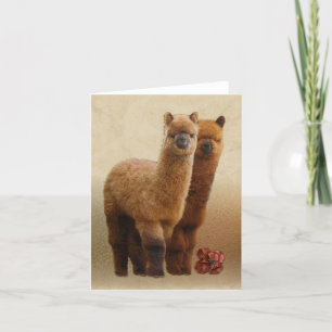 Twee Alpacas Note Card Kaart