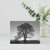 Twee als één: de voorgesneden boom briefkaart (Staand voorkant)