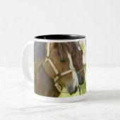 Twee Amerikaanse kwartpaarden in schaduw Tweekleurige Koffiemok (Voorkant links)