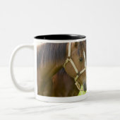 Twee Amerikaanse kwartpaarden in schaduw Tweekleurige Koffiemok (Links)