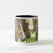 Twee Amerikaanse kwartpaarden in schaduw Tweekleurige Koffiemok (Center)