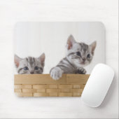 Twee Amerikaanse Shorthair Kittens Muismat (Met muis)