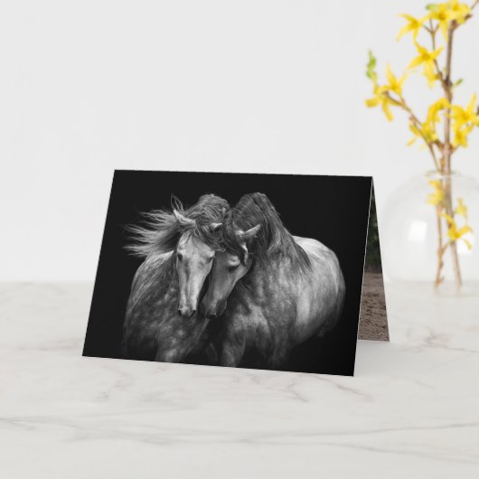 Twee Andalusische hengsten - Paard Wenskaart Kaart (Gele Bloem)