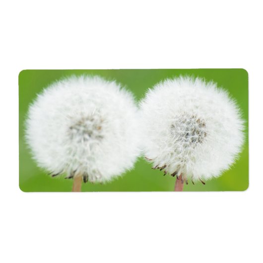 Twee andelions etiket (Voorkant)