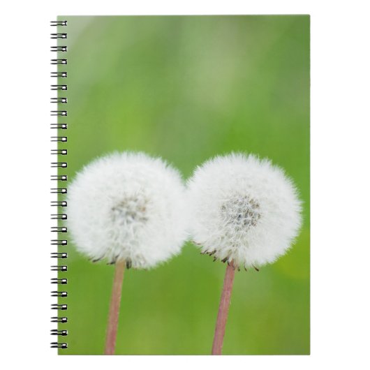 Twee andelions notitieboek (Voorkant)