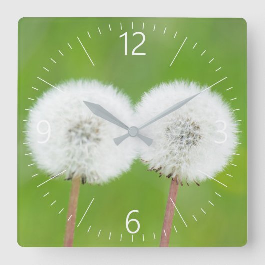 Twee andelions vierkante klok (Voorkant)