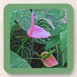 "TWEE ANTHURIUM" SET VAN 6 HARDE PLASTIC ONDERLEGG DRANKJES ONDERZETTER