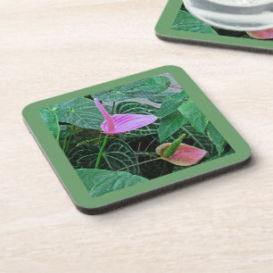 "TWEE ANTHURIUM" SET VAN 6 HARDE PLASTIC ONDERZETT DRANKJES ONDERZETTER
