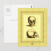 Twee Antiek Skulls Briefkaart (Voorkant / Achterkant)