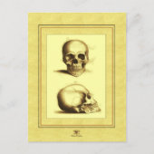 Twee Antiek Skulls Briefkaart (Voorkant)