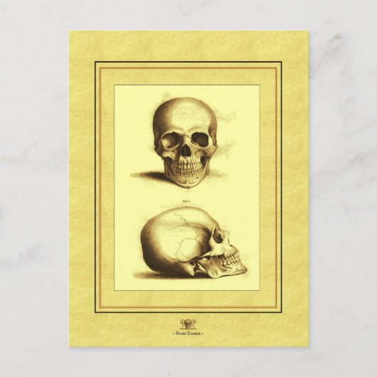 Twee Antiek Skulls Briefkaart (Voorkant)