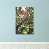 Twee apen in een boom canvas afdruk (Insitu (Houten vloer))