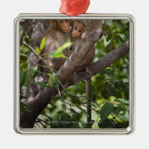 Twee apen in een boom metalen ornament