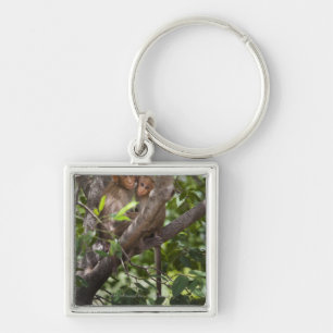Twee apen in een boom sleutelhanger