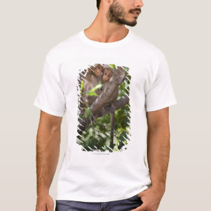 Twee apen in een boom t-shirt