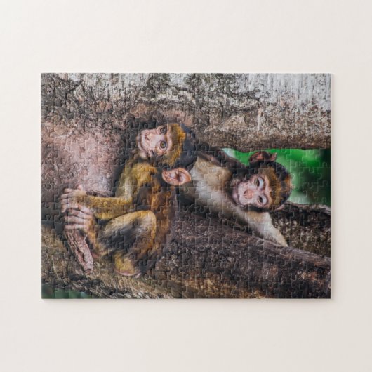 Twee apen in het bos van de boomapen legpuzzel (Horizontaal)