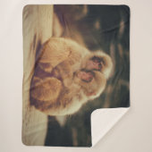 TWEE APEN SHERPA DEKEN (Voorkant)