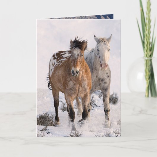 Twee Appaloosa Wenskaart (Voorkant)