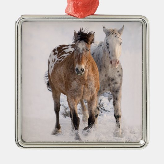 Twee Appaloosas Horse Ornament (Voorkant)