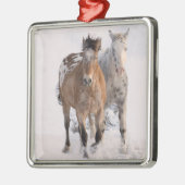 Twee Appaloosas Horse Ornament (Links)
