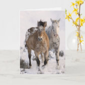 Twee Appaloosas Horse Wenskaart Kaart (Gele Bloem)