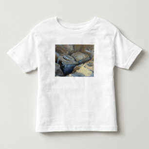 Twee apparaten van het doostype verpakt kinder shirts