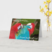 Twee ara papegaaien verjaardag wenskaart kaart (Gele Bloem)