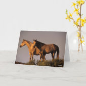 Twee Arabieren die samen het licht van de avond ho Kaart (Gele Bloem)