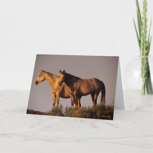 Twee Arabieren die samen het licht van de avond ho Kaart (Voorkant)