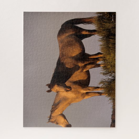 Twee Arabieren die samen het licht van de avond ho Legpuzzel (Verticaal)